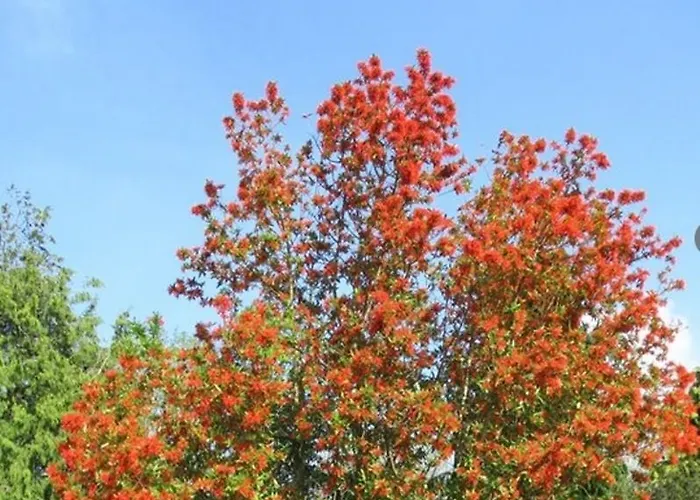 Grey Gables 5* Innishannon